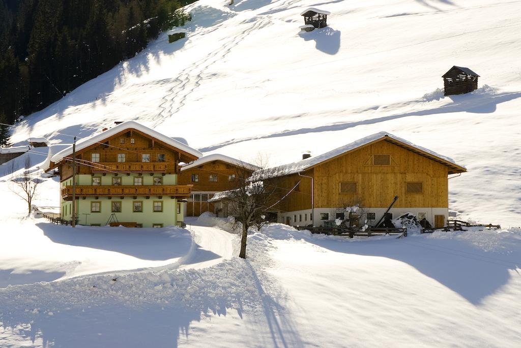 Apartamento Kleinellmauhof Grossarl Exterior foto